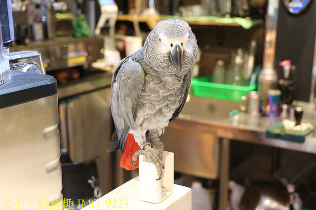 IMG_9223.jpg - 台北市內湖 綠角 Green Corner 20211229