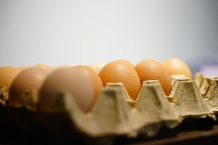 【種甜】隱藏巷弄中的老宅日式咖啡廳 招牌多到吃不完！ 新竹新開幕/新竹美食 - Cutier吃飯中 種甜不只是咖啡廳，他是一間充滿復古氣息的新店。 新竹日式, 新竹甜點, 日食。北部, 日食。新竹