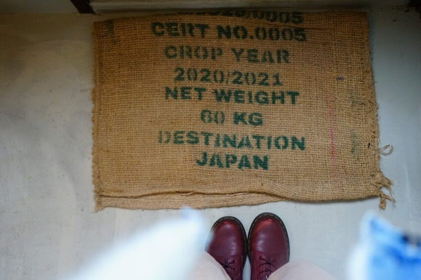 【種甜】隱藏巷弄中的老宅日式咖啡廳 招牌多到吃不完！ 新竹新開幕/新竹美食 - Cutier吃飯中 種甜不只是咖啡廳，他是一間充滿復古氣息的新店。 新竹日式, 新竹甜點, 日食。北部, 日食。新竹