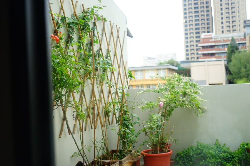 【種甜】隱藏巷弄中的老宅日式咖啡廳 招牌多到吃不完！ 新竹新開幕/新竹美食 - Cutier吃飯中 種甜不只是咖啡廳，他是一間充滿復古氣息的新店。 新竹日式, 新竹甜點, 日食。北部, 日食。新竹