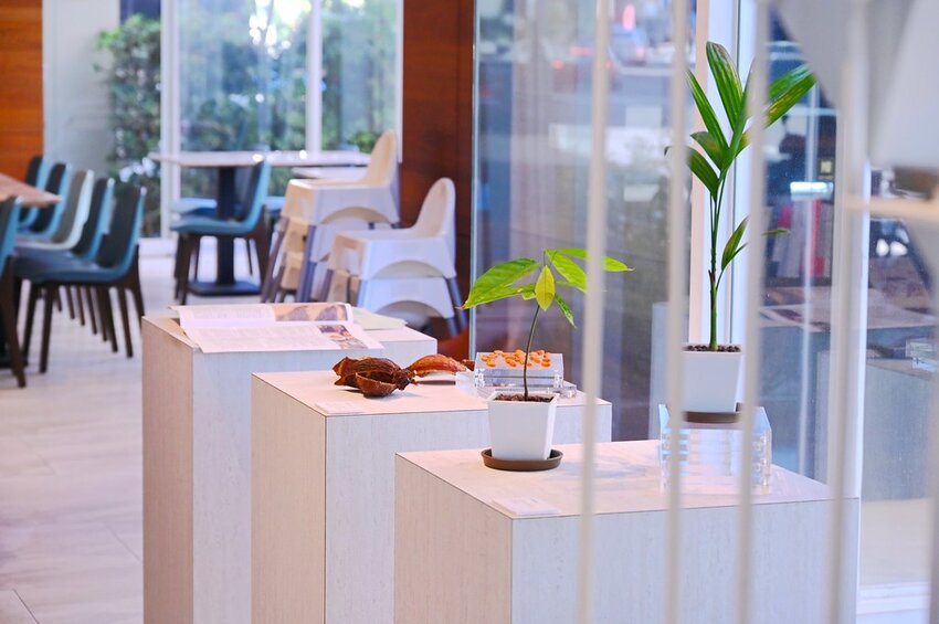 台中逢甲新開幕好美玻璃屋餐廳/巧克力辣醬烤雞 焦糖紅茶巴斯克好吃 約會餐廳推薦_Bocca Bom Bistro