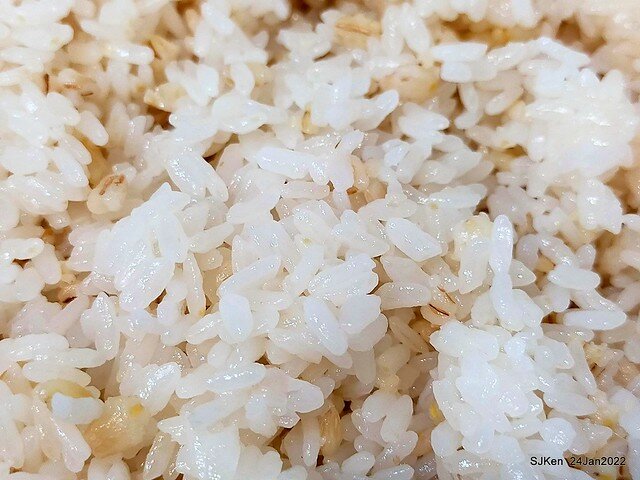 「靜岡勝政日式豬排南港環球店」伊比利黑豚厚切里肌豬排便當(Katsumasa Japanese Pork & fish chop store), Taipei, Taiwan, SJKen, Jan 24, 2022.)