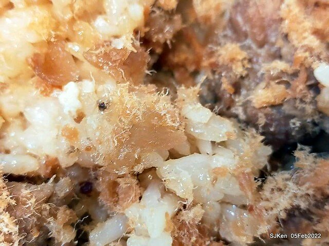 (永和美食)「樂華夜市三鮮羹」(Seafood soup booth), LeHwa night markket, Hsin-pei city, Taiwan, SJKen, Feb 5, 2022.