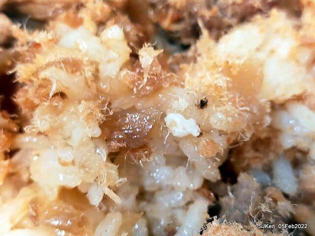 (永和美食)「樂華夜市三鮮羹」(Seafood soup booth), LeHwa night markket, Hsin-pei city, Taiwan, SJKen, Feb 5, 2022.