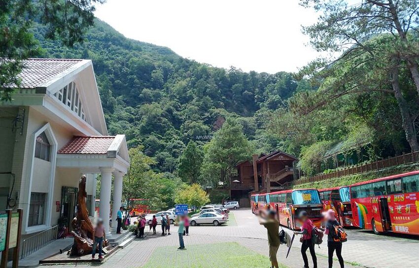 肉多多火鍋豐原太平洋店，268元起鮮蔬自助吧、飲料冰品、多種麵食吃到飽，台中火鍋迷必吃名店，樂多多集團 - 🍎 蘋果話日常🍎