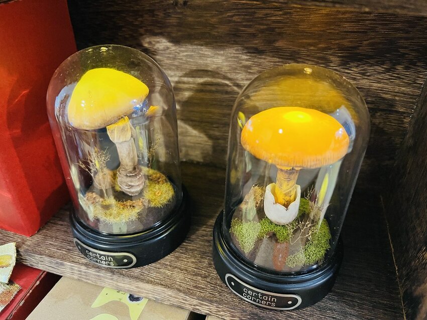 S__3588222 S__3588222