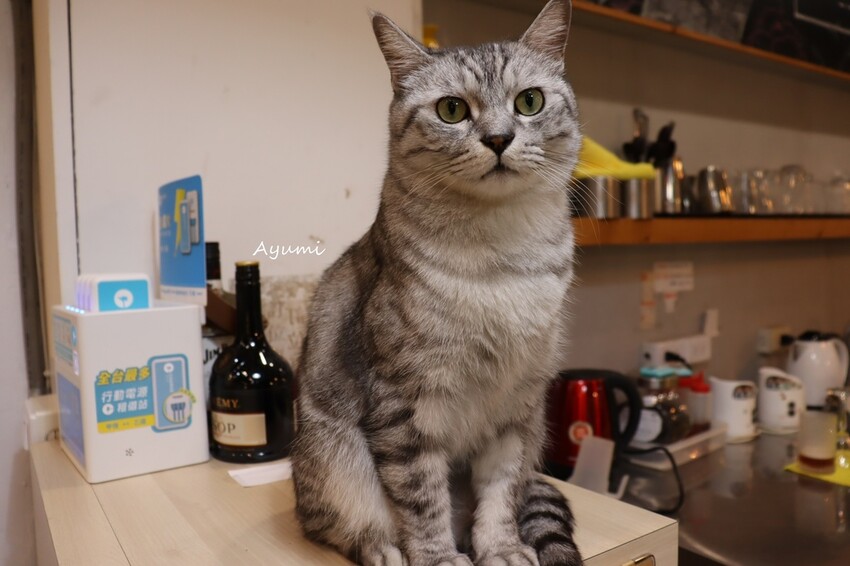 [台南複合式冰品店推薦]花食間手作HUA SHIH JIAN