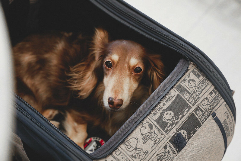 1J6A2656-2 1J6A2656-2