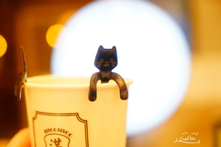 【樂兔洋食行x滿滿奶酥moomoo】遠百竹北必吃美食 顛覆味蕾的熱壓吐司不只是吐司！竹北美食/新竹美食/園區下午茶外送 - Cutier吃飯中 樂兔洋食行與滿滿奶酥在新開幕的「遠百竹北」推出季節限定品