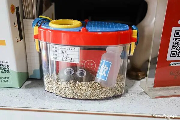 焣苑鍋物/板橋火鍋店/