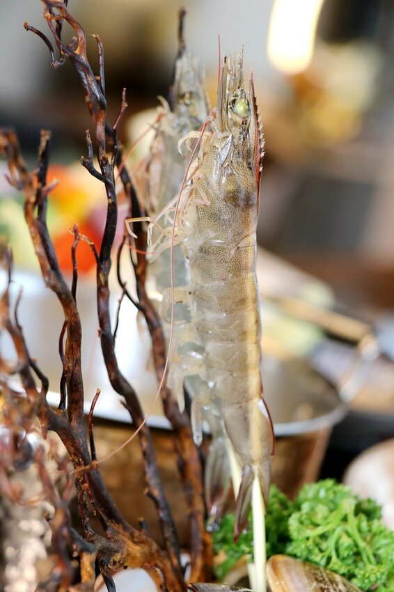 火鍋界的PRADA.木曜4超玩推薦.貼心桌邊服務.大安區頂級火鍋.約會餐廳推薦♥二本松涮涮屋♥(文末菜單)