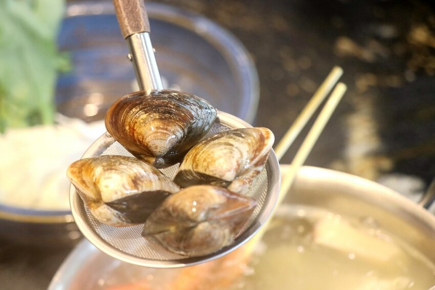 火鍋界的PRADA.木曜4超玩推薦.貼心桌邊服務.大安區頂級火鍋.約會餐廳推薦♥二本松涮涮屋♥(文末菜單)