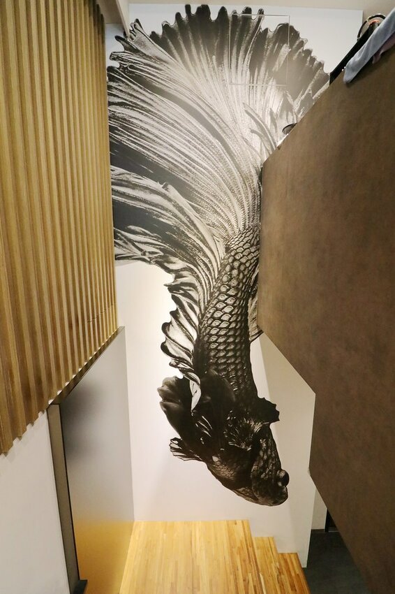 火鍋界的PRADA.木曜4超玩推薦.貼心桌邊服務.大安區頂級火鍋.約會餐廳推薦♥二本松涮涮屋♥(文末菜單)