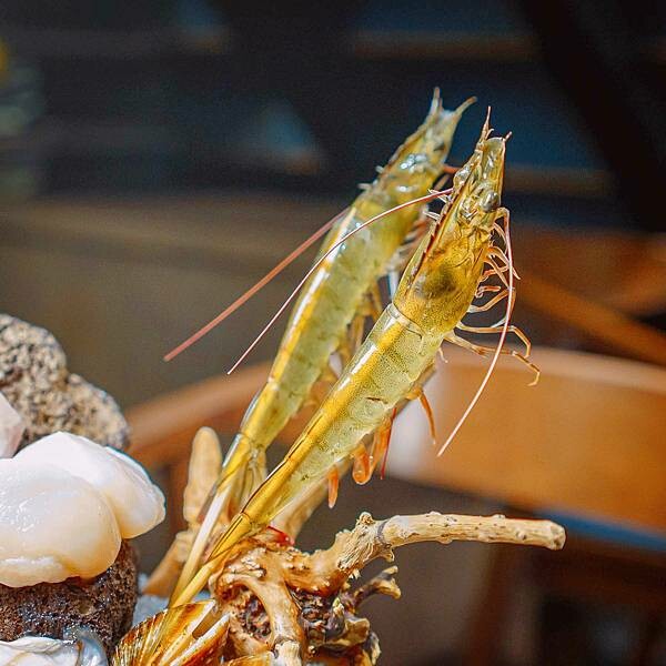 台北 大安區 二本松涮涮屋 高檔火鍋 24.jpeg