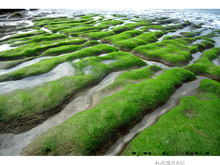 老梅綠石槽：【遊記】oO。o○新北市　北海岸　石門區　老梅石槽　老梅　綠石槽　潮溝　海蝕溝　可怕的綠怪物現身石門區，是不是世界末日～。oO。o○。　