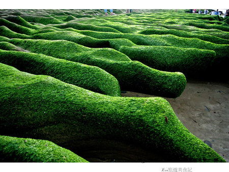 老梅綠石槽：【遊記】oO。o○新北市　北海岸　石門區　老梅石槽　老梅　綠石槽　潮溝　海蝕溝　可怕的綠怪物現身石門區，是不是世界末日～。oO。o○。　