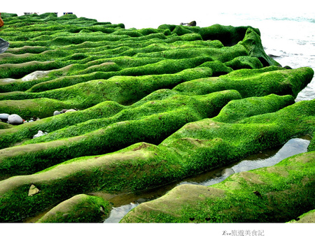 老梅綠石槽：【遊記】oO。o○新北市　北海岸　石門區　老梅石槽　老梅　綠石槽　潮溝　海蝕溝　可怕的綠怪物現身石門區，是不是世界末日～。oO。o○。　