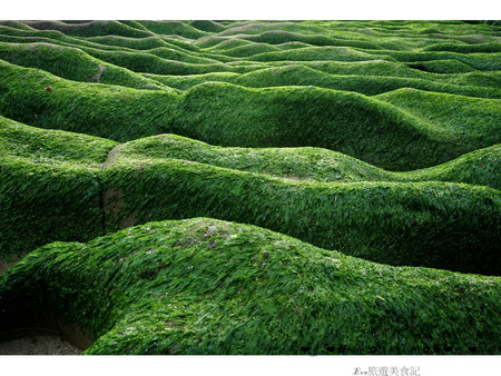 老梅綠石槽：【遊記】oO。o○新北市　北海岸　石門區　老梅石槽　老梅　綠石槽　潮溝　海蝕溝　可怕的綠怪物現身石門區，是不是世界末日～。oO。o○。　