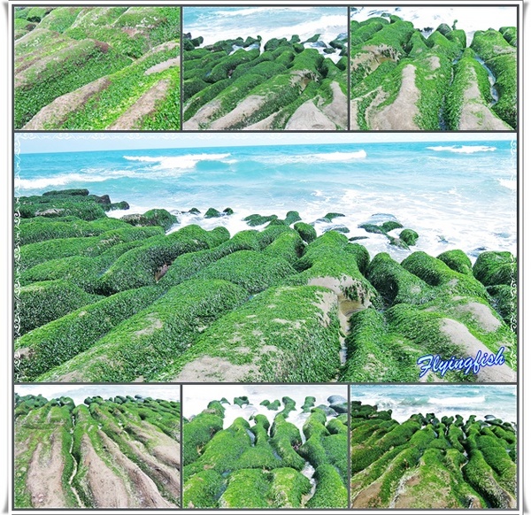 老梅綠石槽：╭(′▽`)╯賞味期限定 !! 讓人驚呼連連ㄟ夯爆美景 -「老梅綠石槽」