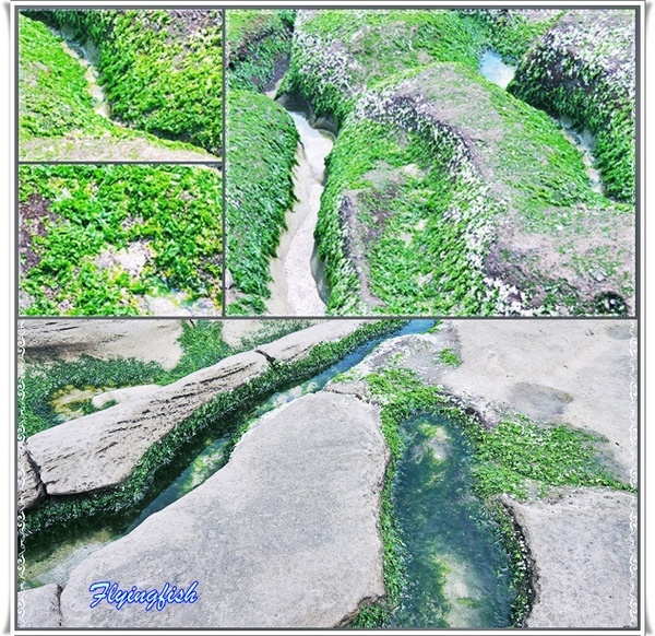 老梅綠石槽：╭(′▽`)╯賞味期限定 !! 讓人驚呼連連ㄟ夯爆美景 -「老梅綠石槽」