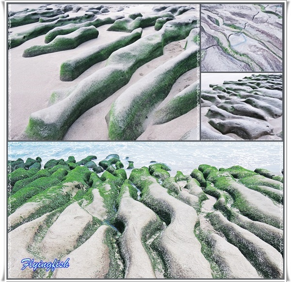 老梅綠石槽：╭(′▽`)╯賞味期限定 !! 讓人驚呼連連ㄟ夯爆美景 -「老梅綠石槽」