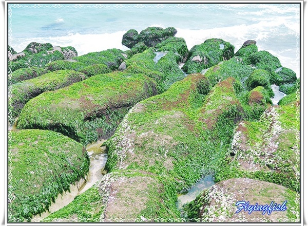 老梅綠石槽：╭(′▽`)╯賞味期限定 !! 讓人驚呼連連ㄟ夯爆美景 -「老梅綠石槽」