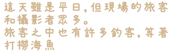 老梅綠石槽:【新北◍•ᴗ•◍石門】景點・北海岸老梅綠石槽✯婚紗拍攝景點|鑲嵌於老梅的祖母綠,期間限定翠綠海岸灘岩 老梅綠石槽:【新北◍•ᴗ•◍石門】景點・北海岸老梅綠石槽✯婚紗拍攝景點|鑲嵌於老梅的祖母綠,期間限定翠綠海岸灘岩
