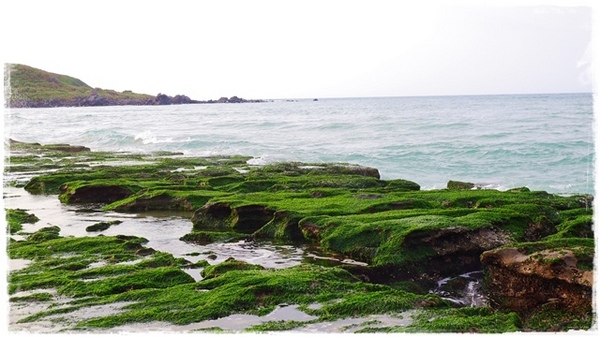 老梅綠石槽:【新北◍•ᴗ•◍石門】景點・北海岸老梅綠石槽✯婚紗拍攝景點|鑲嵌於老梅的祖母綠,期間限定翠綠海岸灘岩 老梅綠石槽:【新北◍•ᴗ•◍石門】景點・北海岸老梅綠石槽✯婚紗拍攝景點|鑲嵌於老梅的祖母綠,期間限定翠綠海岸灘岩