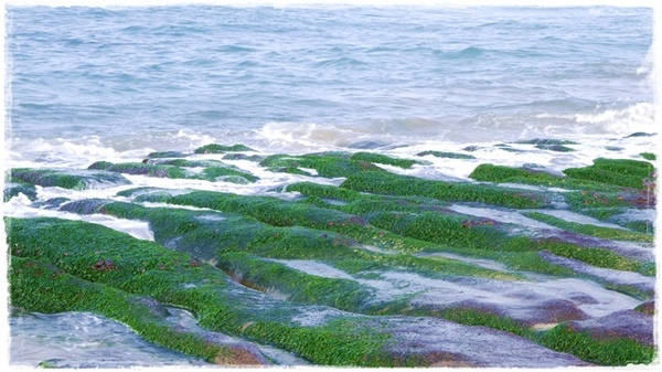 老梅綠石槽:【新北◍•ᴗ•◍石門】景點・北海岸老梅綠石槽✯婚紗拍攝景點|鑲嵌於老梅的祖母綠,期間限定翠綠海岸灘岩 老梅綠石槽:【新北◍•ᴗ•◍石門】景點・北海岸老梅綠石槽✯婚紗拍攝景點|鑲嵌於老梅的祖母綠,期間限定翠綠海岸灘岩