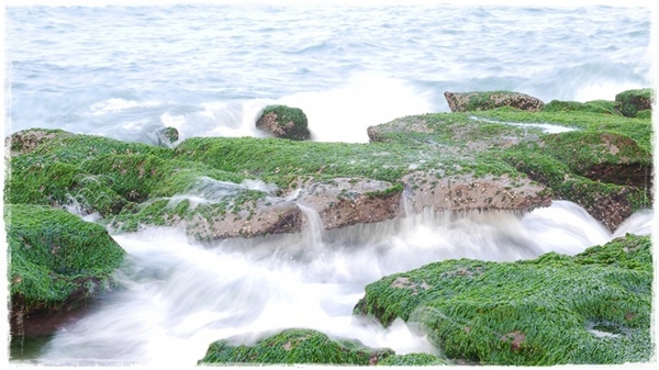 老梅綠石槽:【新北◍•ᴗ•◍石門】景點・北海岸老梅綠石槽✯婚紗拍攝景點|鑲嵌於老梅的祖母綠,期間限定翠綠海岸灘岩 老梅綠石槽:【新北◍•ᴗ•◍石門】景點・北海岸老梅綠石槽✯婚紗拍攝景點|鑲嵌於老梅的祖母綠,期間限定翠綠海岸灘岩