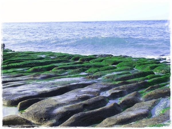 老梅綠石槽:【新北◍•ᴗ•◍石門】景點・北海岸老梅綠石槽✯婚紗拍攝景點|鑲嵌於老梅的祖母綠,期間限定翠綠海岸灘岩 老梅綠石槽:【新北◍•ᴗ•◍石門】景點・北海岸老梅綠石槽✯婚紗拍攝景點|鑲嵌於老梅的祖母綠,期間限定翠綠海岸灘岩