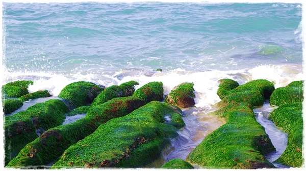 老梅綠石槽:【新北◍•ᴗ•◍石門】景點・北海岸老梅綠石槽✯婚紗拍攝景點|鑲嵌於老梅的祖母綠,期間限定翠綠海岸灘岩 老梅綠石槽:【新北◍•ᴗ•◍石門】景點・北海岸老梅綠石槽✯婚紗拍攝景點|鑲嵌於老梅的祖母綠,期間限定翠綠海岸灘岩