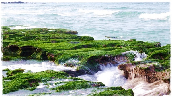 老梅綠石槽:【新北◍•ᴗ•◍石門】景點・北海岸老梅綠石槽✯婚紗拍攝景點|鑲嵌於老梅的祖母綠,期間限定翠綠海岸灘岩 老梅綠石槽:【新北◍•ᴗ•◍石門】景點・北海岸老梅綠石槽✯婚紗拍攝景點|鑲嵌於老梅的祖母綠,期間限定翠綠海岸灘岩