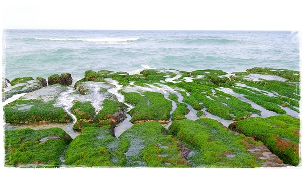 老梅綠石槽:【新北◍•ᴗ•◍石門】景點・北海岸老梅綠石槽✯婚紗拍攝景點|鑲嵌於老梅的祖母綠,期間限定翠綠海岸灘岩 老梅綠石槽:【新北◍•ᴗ•◍石門】景點・北海岸老梅綠石槽✯婚紗拍攝景點|鑲嵌於老梅的祖母綠,期間限定翠綠海岸灘岩