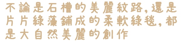 老梅綠石槽:【新北◍•ᴗ•◍石門】景點・北海岸老梅綠石槽✯婚紗拍攝景點|鑲嵌於老梅的祖母綠,期間限定翠綠海岸灘岩 老梅綠石槽:【新北◍•ᴗ•◍石門】景點・北海岸老梅綠石槽✯婚紗拍攝景點|鑲嵌於老梅的祖母綠,期間限定翠綠海岸灘岩