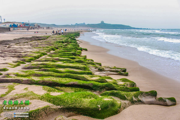 老梅綠石槽|新北市/石門區(季節限定！鬼斧神工且殘酷的限時美景，喚起人們對自然生態的重視。)