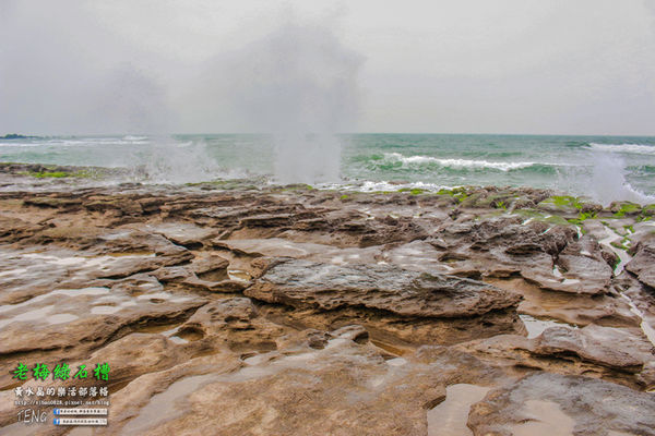 老梅綠石槽|新北市/石門區(季節限定！鬼斧神工且殘酷的限時美景，喚起人們對自然生態的重視。)