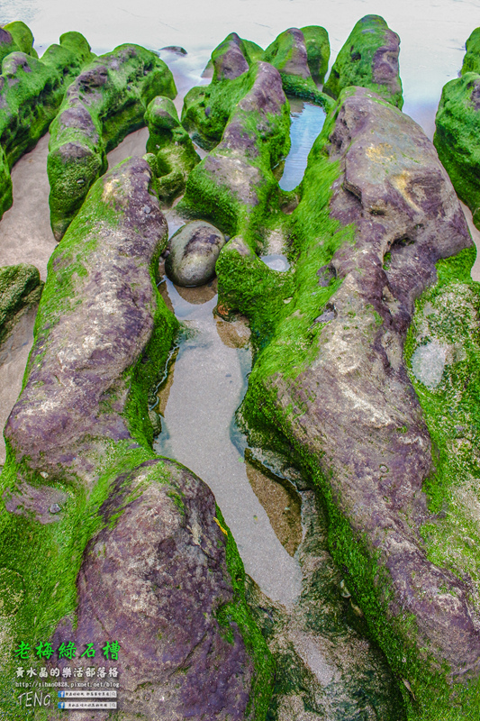 老梅綠石槽|新北市/石門區(季節限定！鬼斧神工且殘酷的限時美景，喚起人們對自然生態的重視。)