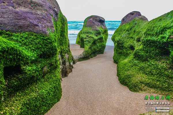 老梅綠石槽|新北市/石門區(季節限定！鬼斧神工且殘酷的限時美景，喚起人們對自然生態的重視。)