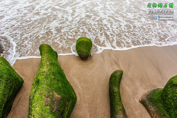 老梅綠石槽|新北市/石門區(季節限定！鬼斧神工且殘酷的限時美景，喚起人們對自然生態的重視。)