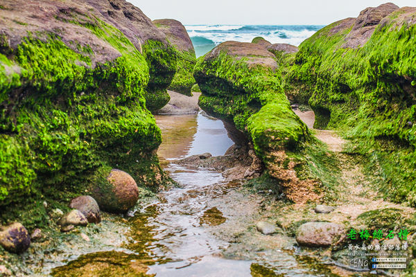 老梅綠石槽|新北市/石門區(季節限定！鬼斧神工且殘酷的限時美景，喚起人們對自然生態的重視。)
