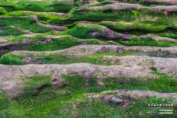 老梅綠石槽|新北市/石門區(季節限定！鬼斧神工且殘酷的限時美景，喚起人們對自然生態的重視。)