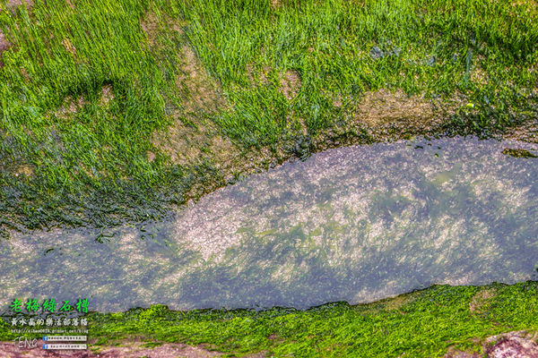 老梅綠石槽|新北市/石門區(季節限定！鬼斧神工且殘酷的限時美景，喚起人們對自然生態的重視。)
