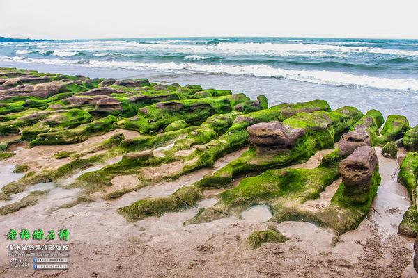 老梅綠石槽|新北市/石門區(季節限定！鬼斧神工且殘酷的限時美景，喚起人們對自然生態的重視。)