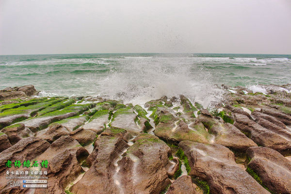 老梅綠石槽|新北市/石門區(季節限定！鬼斧神工且殘酷的限時美景，喚起人們對自然生態的重視。)