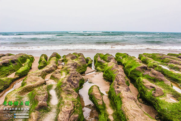 老梅綠石槽|新北市/石門區(季節限定！鬼斧神工且殘酷的限時美景，喚起人們對自然生態的重視。)