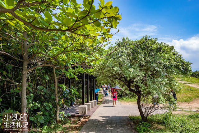 『新北石門』 | 北海岸一日遊 | 老梅綠石槽 | 老梅迷宮 | 老梅沙灘 | 石門風力發電廠 |