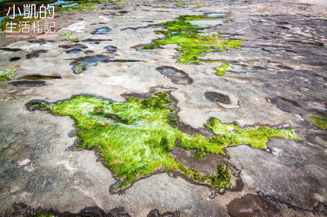 『新北石門』 | 北海岸一日遊 | 老梅綠石槽 | 老梅迷宮 | 老梅沙灘 | 石門風力發電廠 |