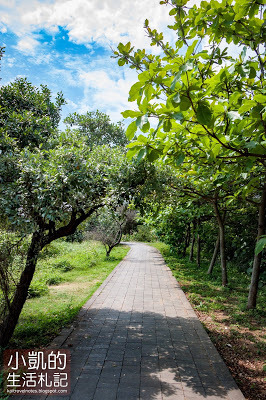 『新北石門』 | 北海岸一日遊 | 老梅綠石槽 | 老梅迷宮 | 老梅沙灘 | 石門風力發電廠 |