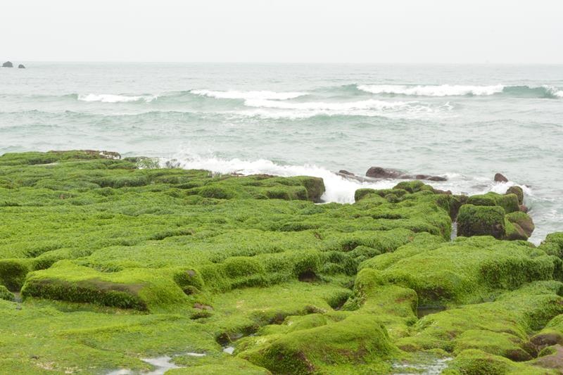 DSC_0421 (Copy).JPG DSC_0421 (Copy).JPG